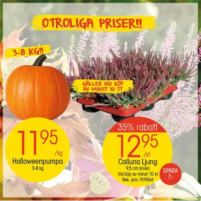 EKO-katalog | Attraktiva specialerbjudanden för alla | 2024-10-14 - 2024-10-28