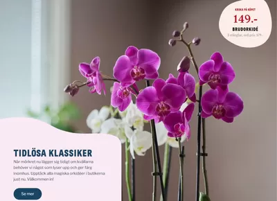 Blomsterlandet-katalog i Göteborg | Blomsterlandet promociones ! | 2024-10-16 - 2024-11-07