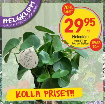 EKO-katalog i Sundsvall | Aktuella specialerbjudanden | 2024-11-16 - 2024-11-30