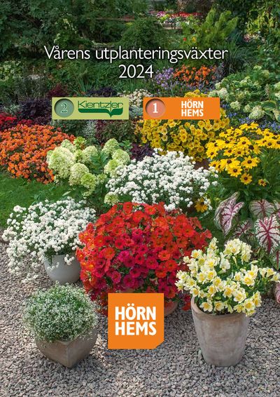 Harald Nyborg-katalog i Löddeköpinge | Vårens utplanteringsväxter 2024 | 2024-02-15 - 2024-12-31
