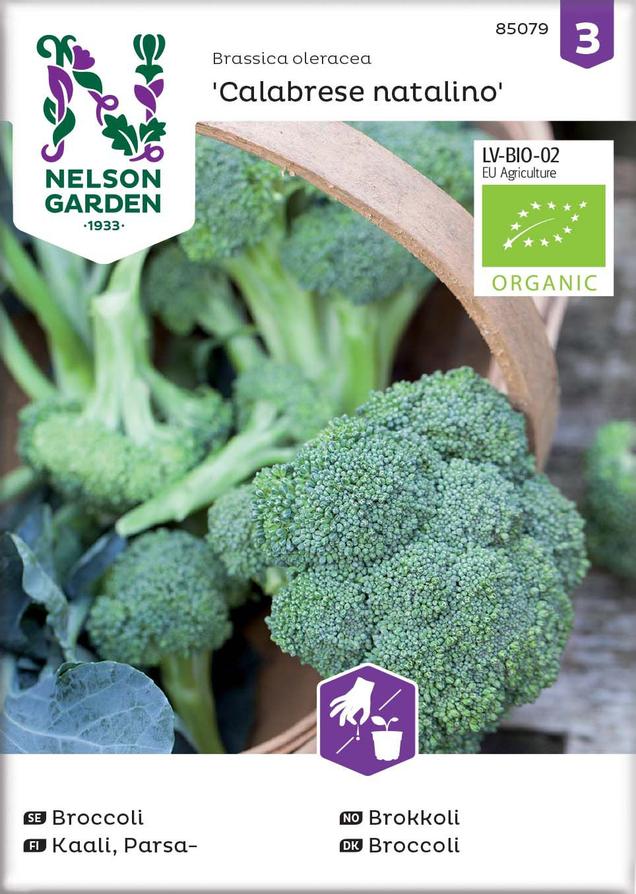 Broccoli 'Calabrese natalino' för 29,9 kr på Blomsterlandet