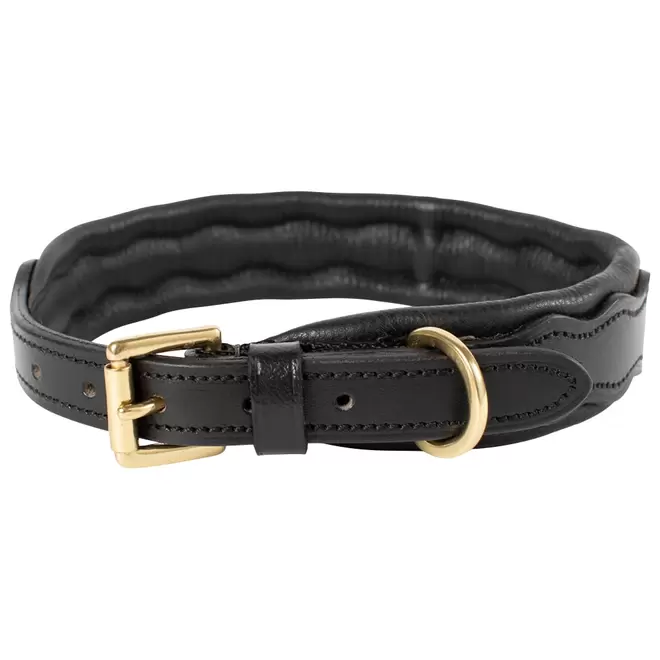 Halsband  Nala traxx® för 249 kr på Hööks