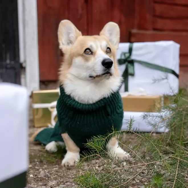 Hundtröja  Wooly traxx® för 199 kr på Hööks