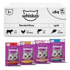1+ Cat Mixed Selection in Jelly 84x85g för 419 kr på Animail